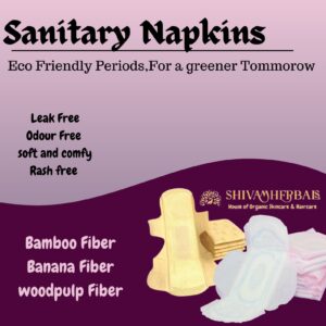 Biodegradable Disposable Sanitary pads
